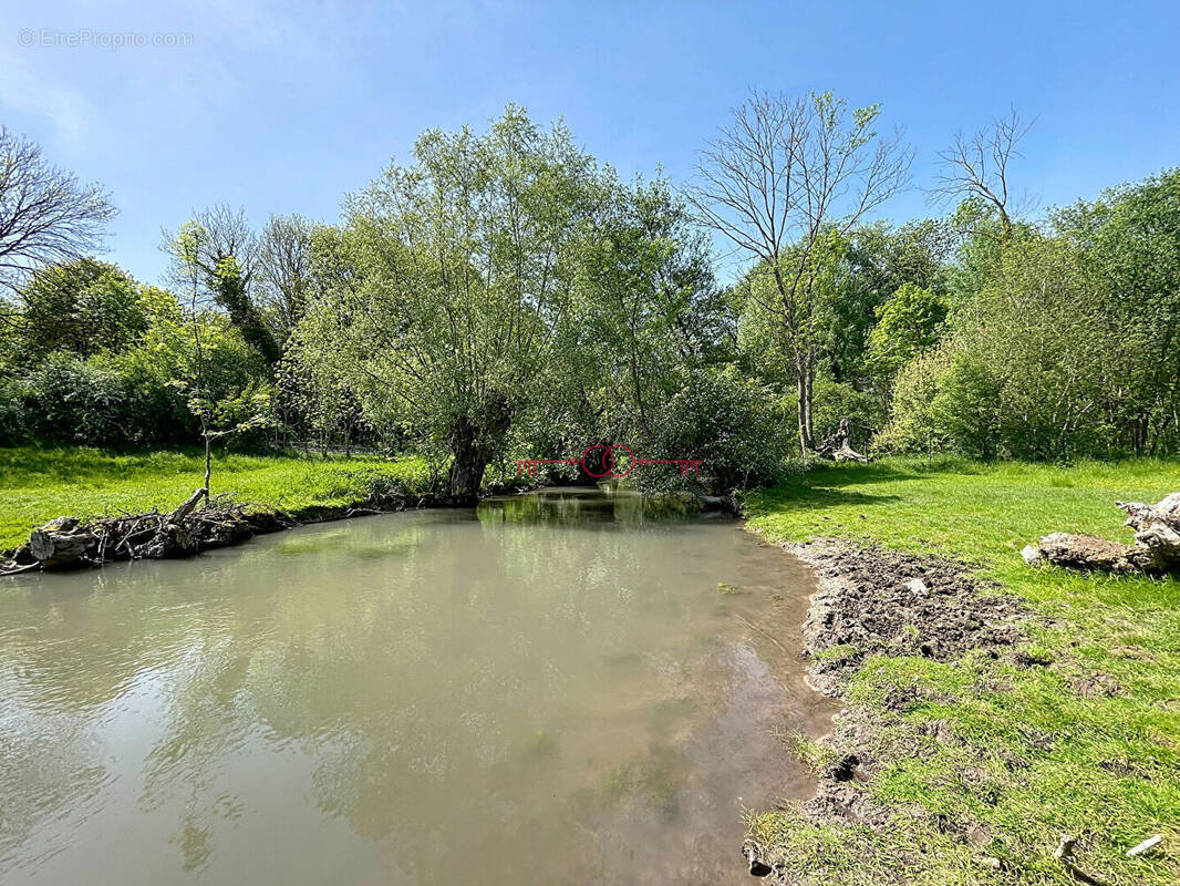 Terrain à SAULT-SAINT-REMY