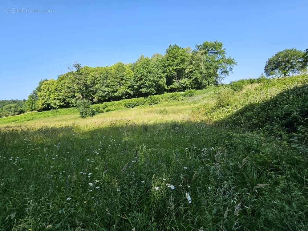 Terrain à SAINT-PRIEST-LA-FEUILLE