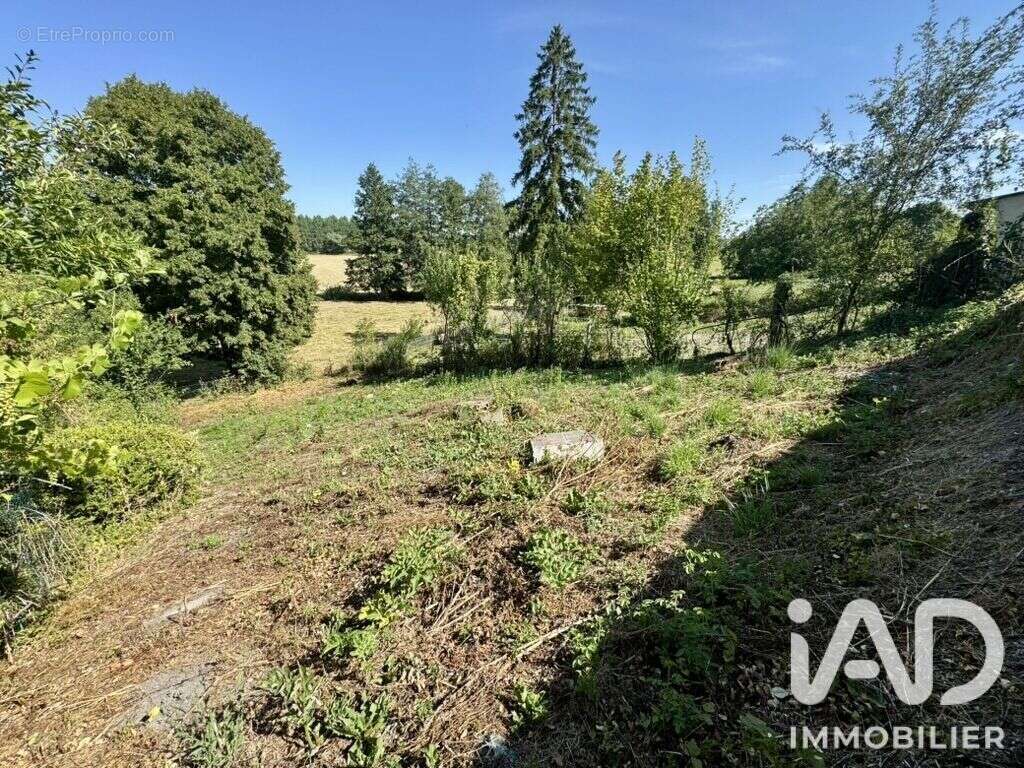 Terrain 529 m² à Challerange  - photo 3
