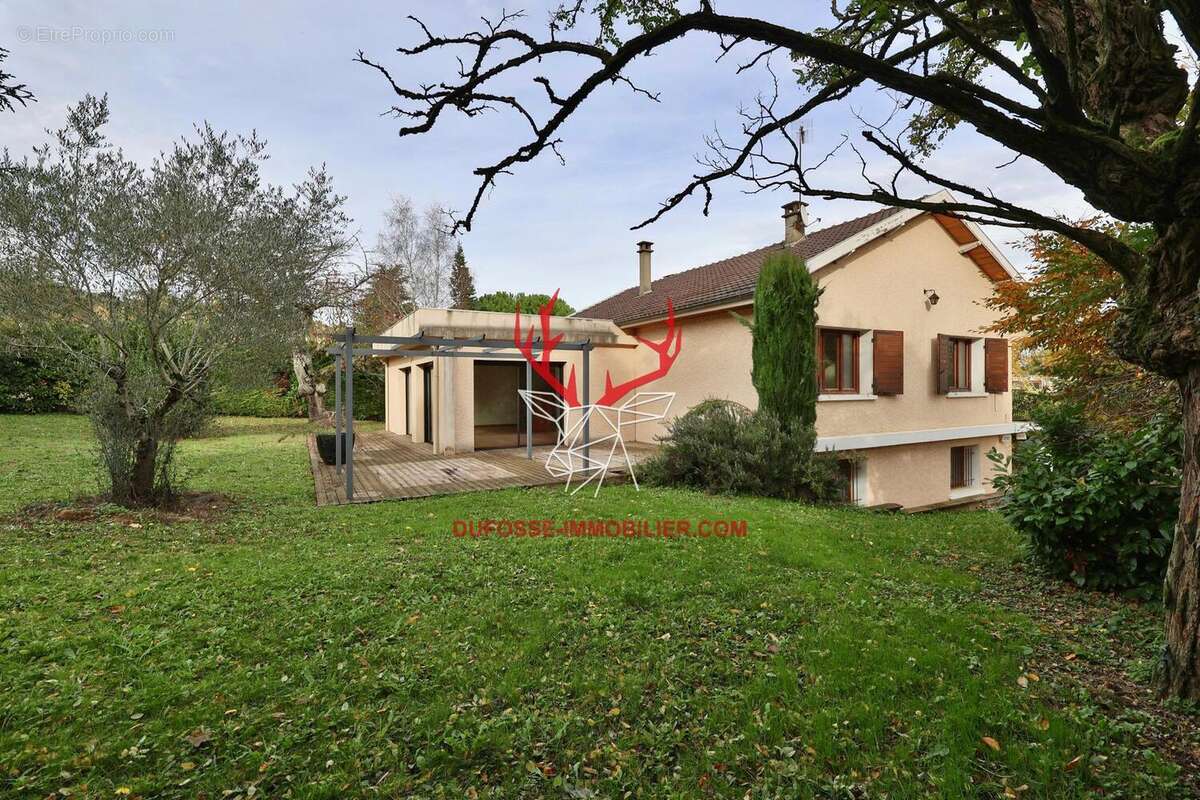 Photo 3 - Maison à SAINT-CYR-AU-MONT-D&#039;OR