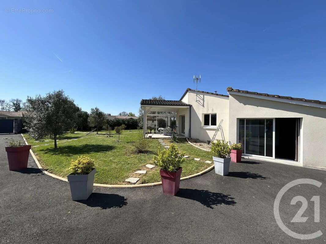 Maison 162 m² à Camps-Sur-L'isle  - photo 12