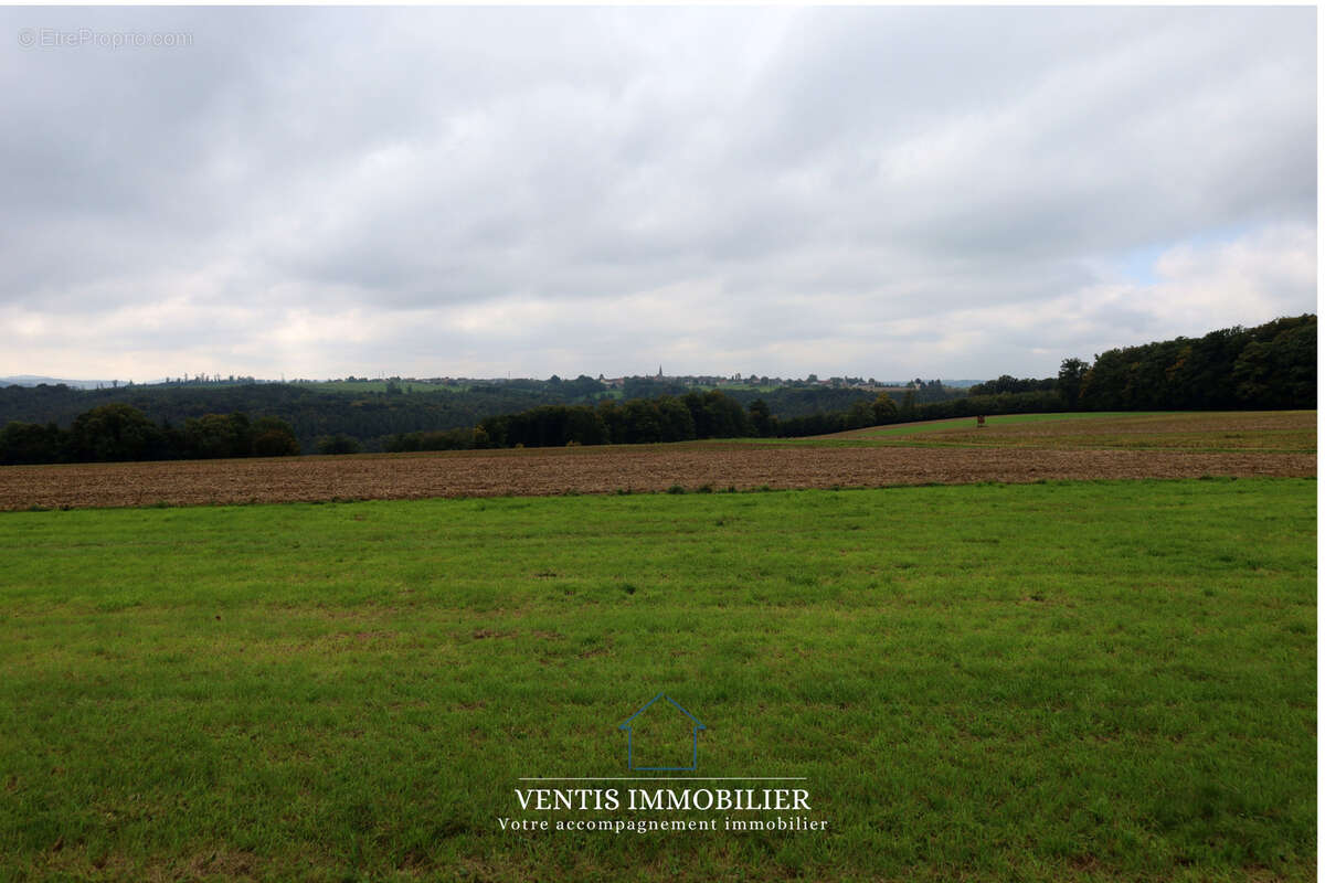 Terrain à DANNELBOURG