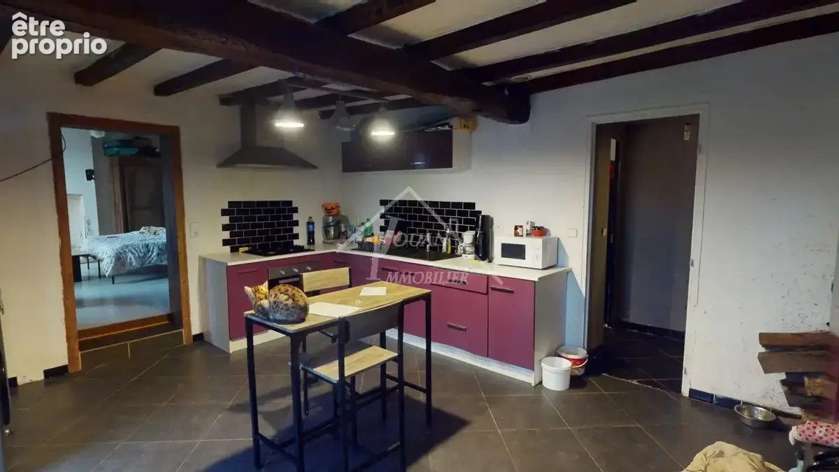 Maison pour investisseurs - photo 4