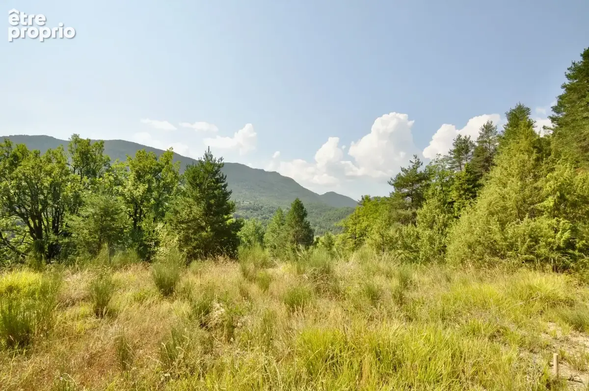 Dpt Alpes de Haute Provence (04), à vendre Proche ENTREVAUX Superbe terrain de plus d'un hectare avec vue montagnes - photo 4