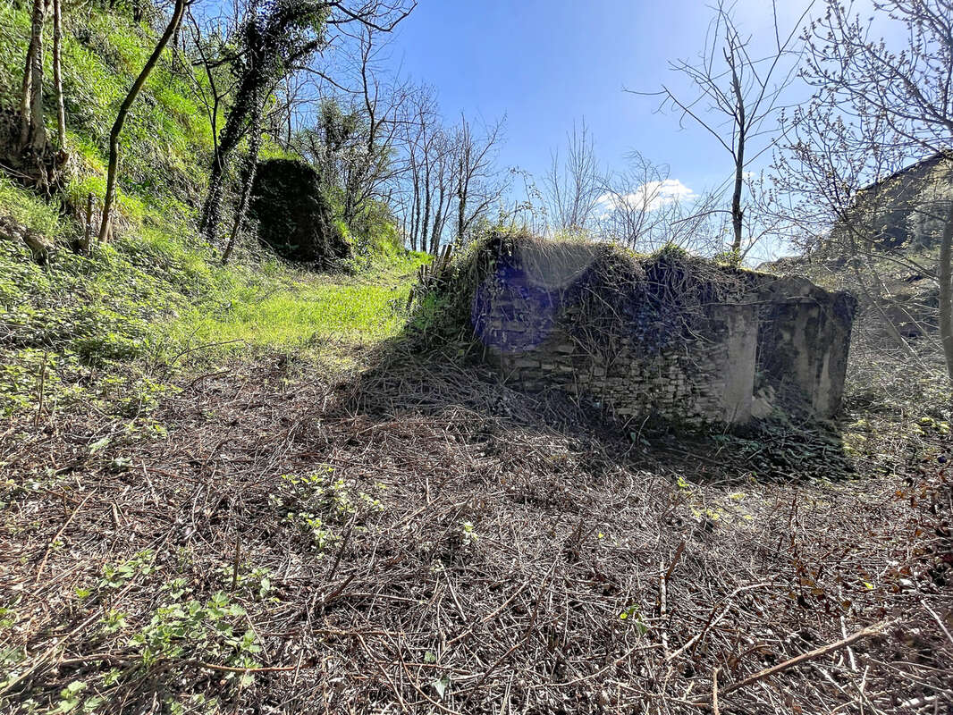 Terrain à DARGOIRE