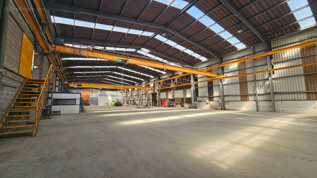 Commerce à LA FORET-FOUESNANT