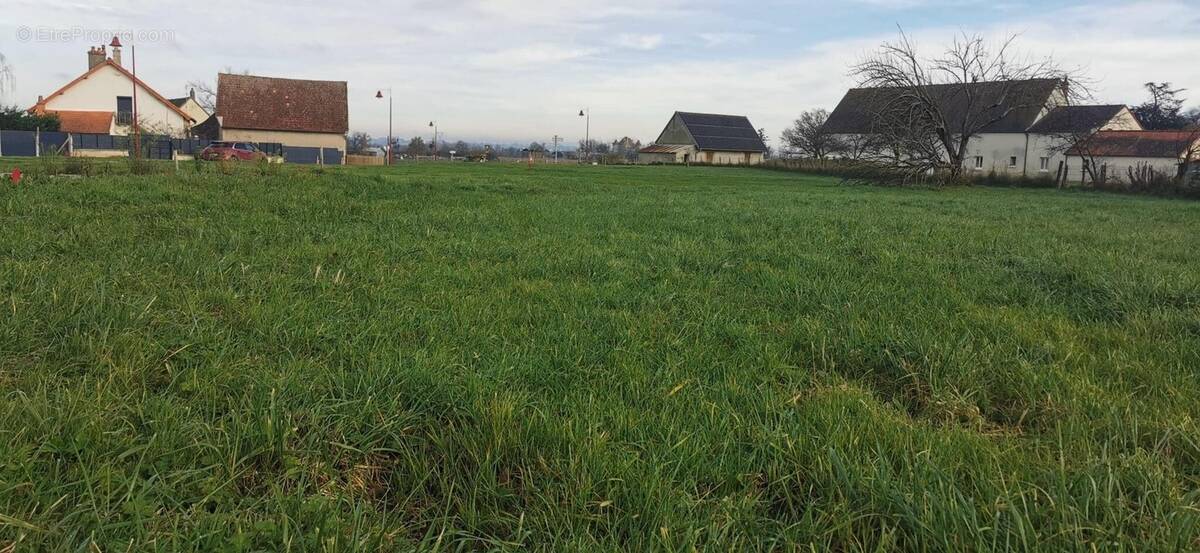 Terrain à PARAY-SOUS-BRIAILLES