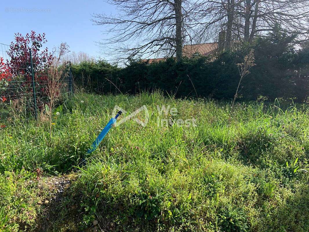 Terrain à SAULT-DE-NAVAILLES