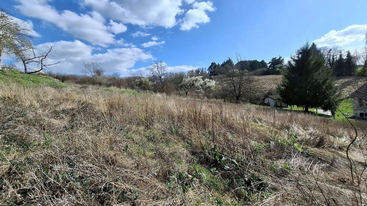 Terrain à LE VERNET