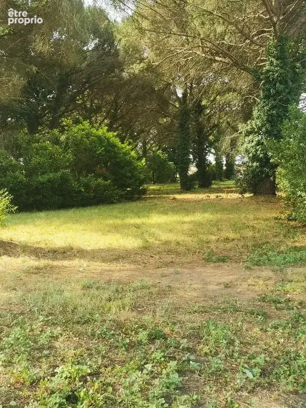 Terrain à SAINT-MAIXANT