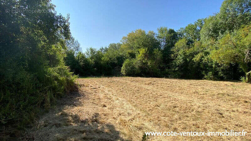 Terrain constructible viabilisé - 765 m² - photo 6