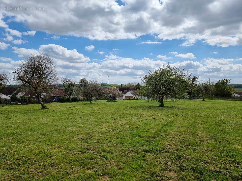 Terrain à COURTACON