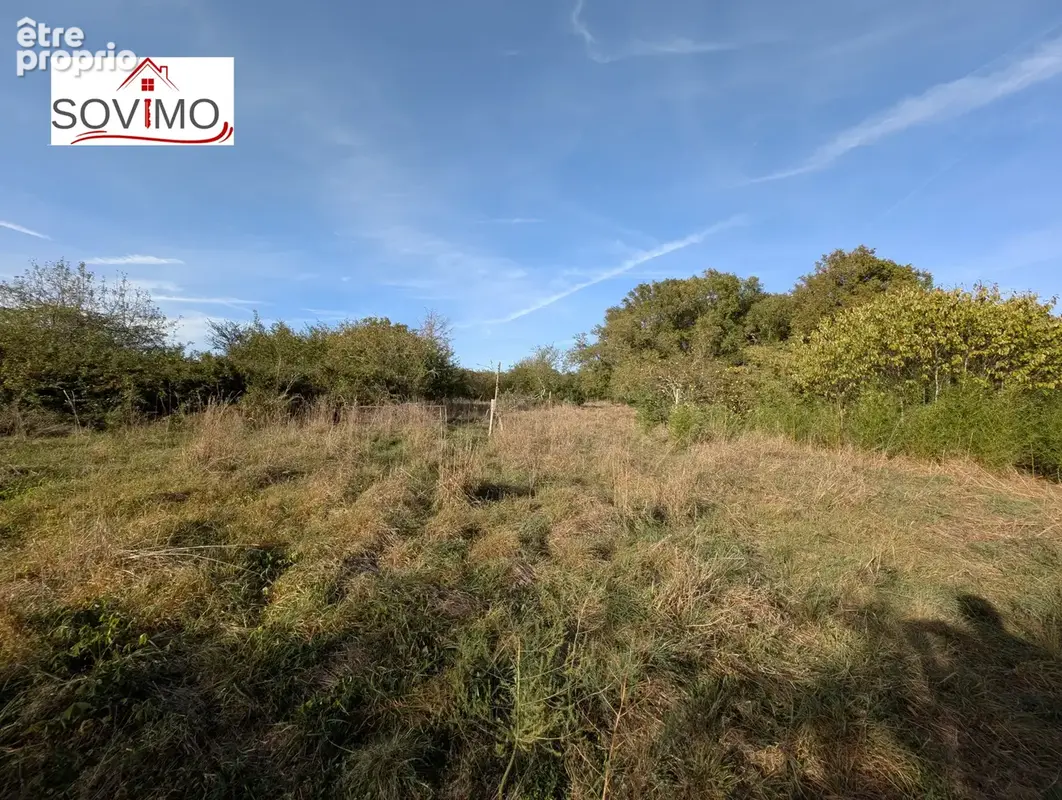Authentique maison de campagne indépendante avec gîte, piscine et grand terrain en face - photo 46