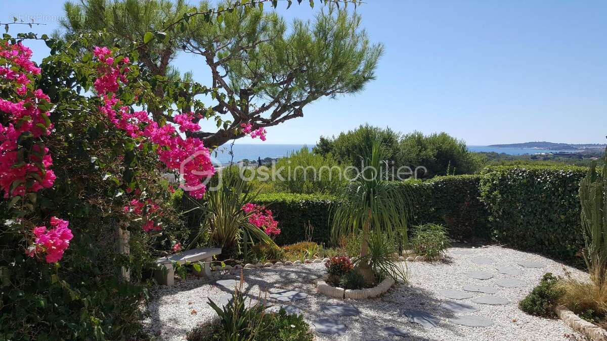 Studio rez de jardin dans une bel résidence le Saphir vue mer ,calme, piscine, parking ,cave - photo 7