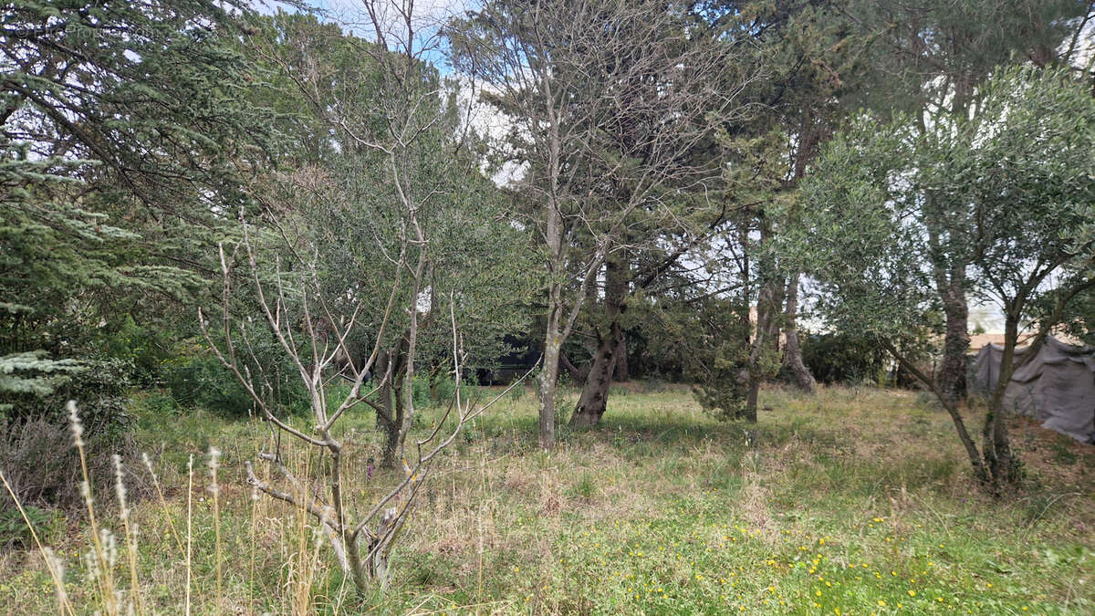 Terrain à SAINT-JEAN-DE-FOS