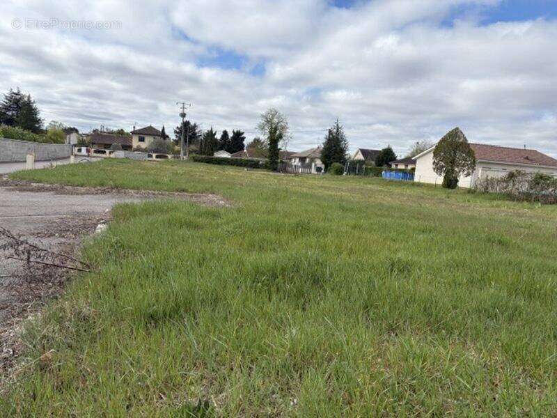Terrain à SAINT-ROMAIN-DE-JALIONAS