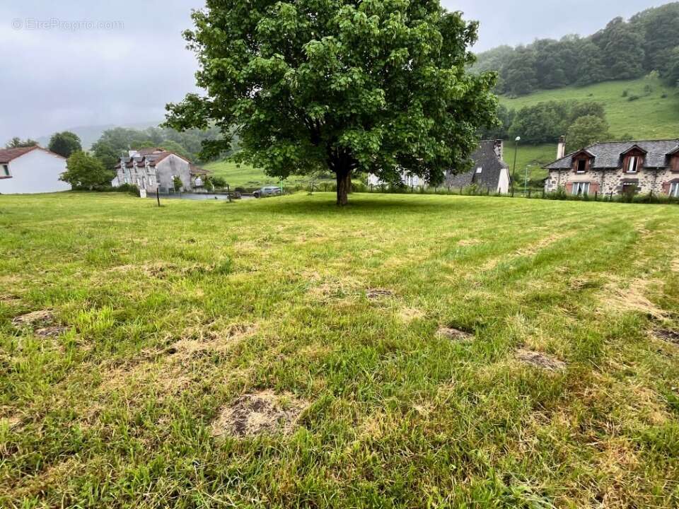 Terrain à JUSSAC