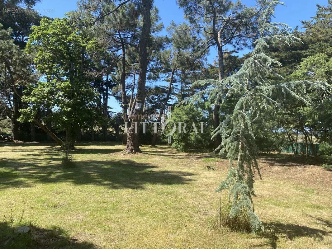 L’île d’Arz – Propriété unique en bord de mer - photo 16