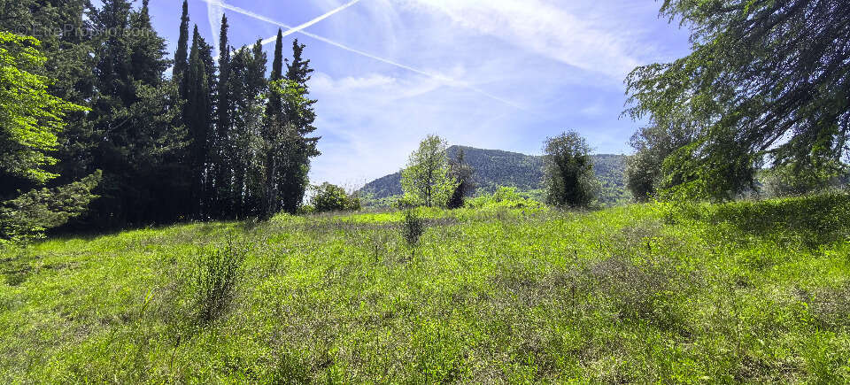 Terrain à TOURRETTE-LEVENS