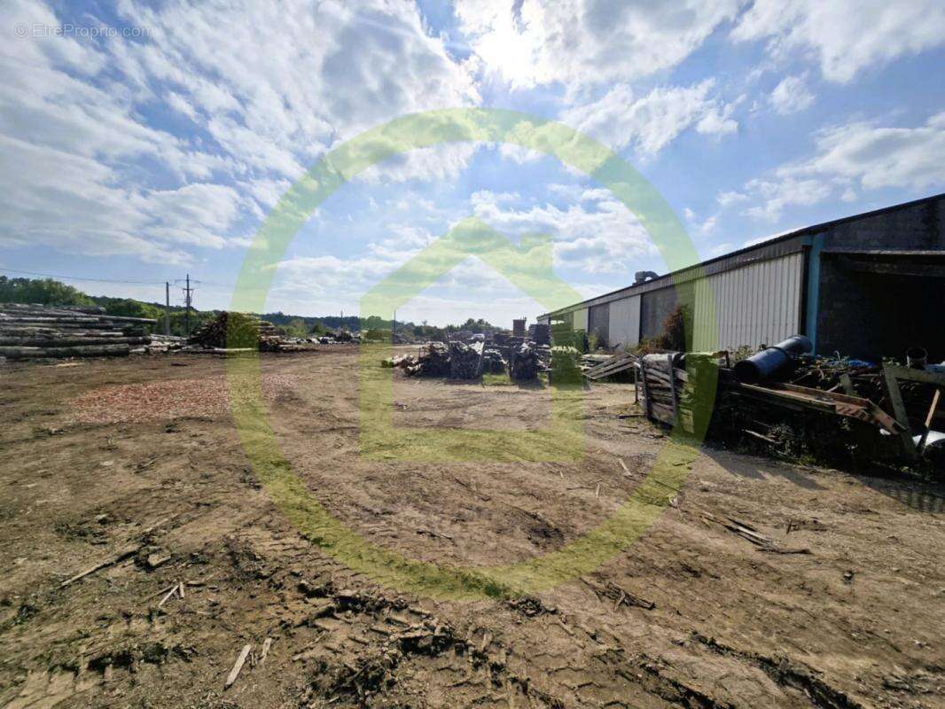 Commerce à CELLES-SUR-BELLE