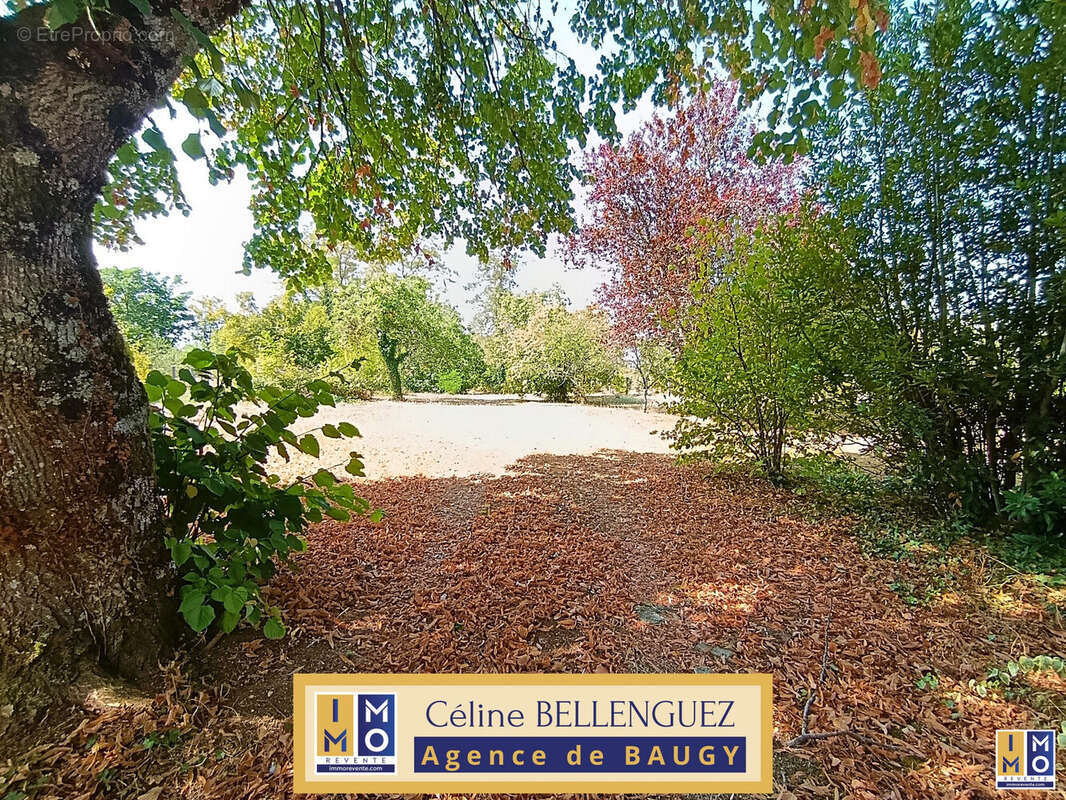 Maison à BAUGY