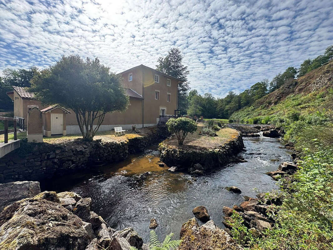 HAUTE VIENNE - Moulin enchanteur au coeur de 7,5 hectares de nature, sans voisins - photo 6