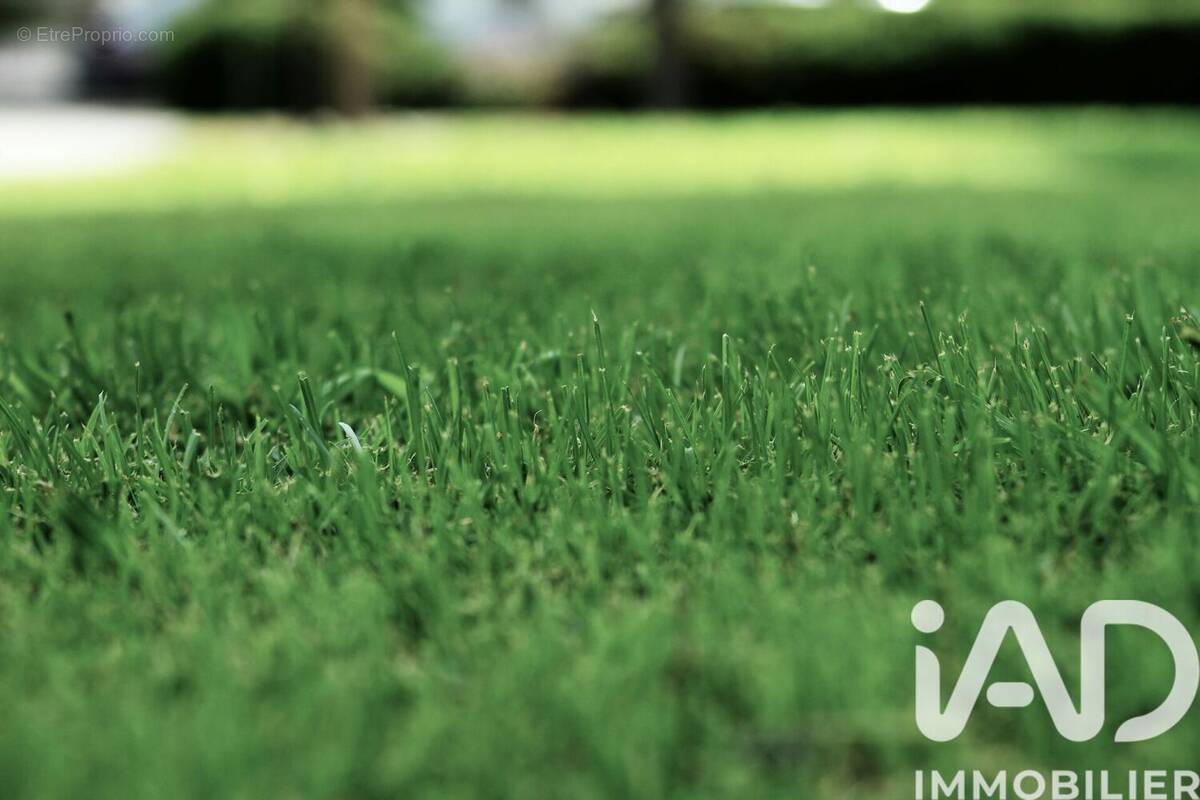 Photo 1 - Terrain à MONTIGNAC