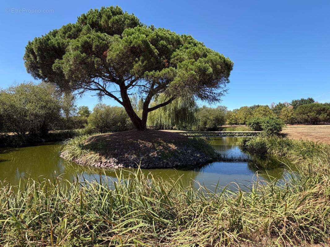 Soullans 85300 - domaine prive de 3,2 hectares clos - propriete d'exception avec granges et presqu'ile - photo 12