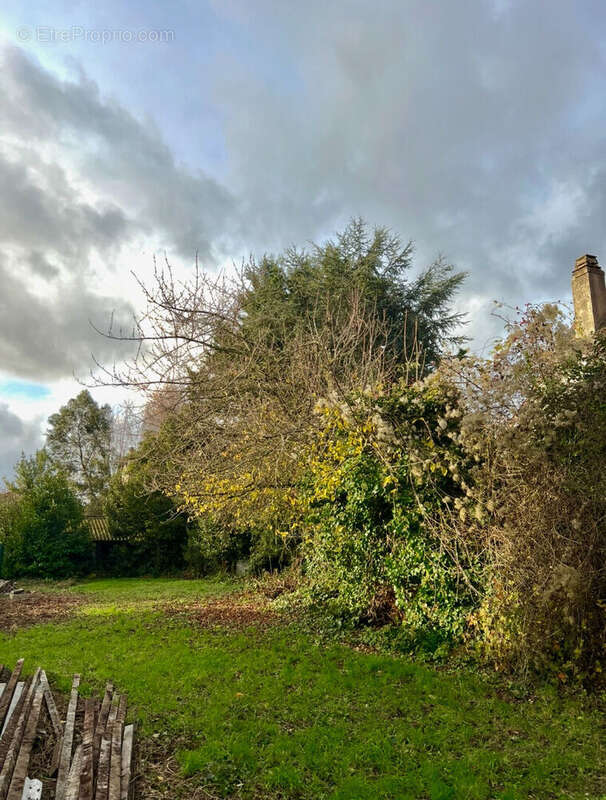 Terrain à ARNOUVILLE-LES-GONESSE