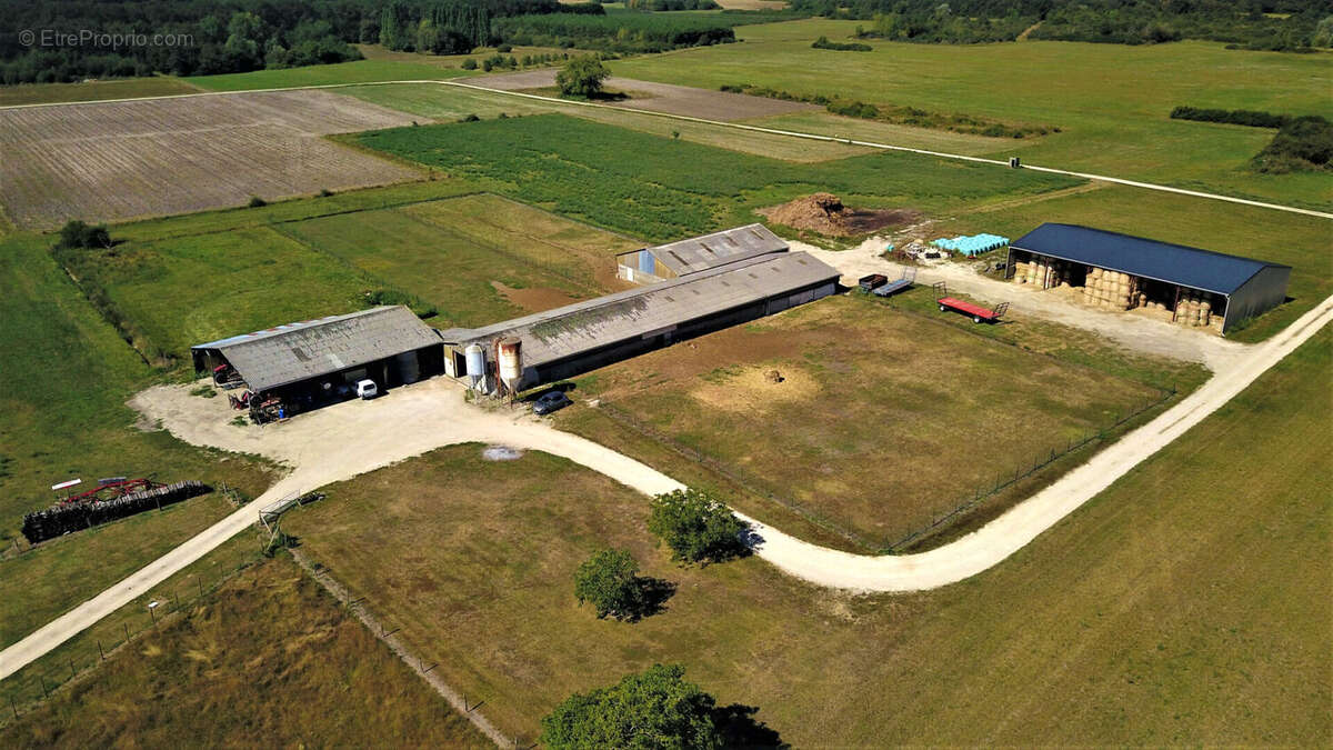 Terrain à CHATILLON-SUR-CHER