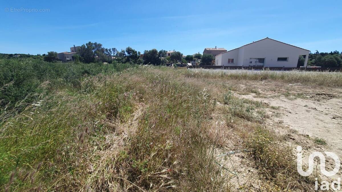 Photo 1 - Terrain à LA PALME