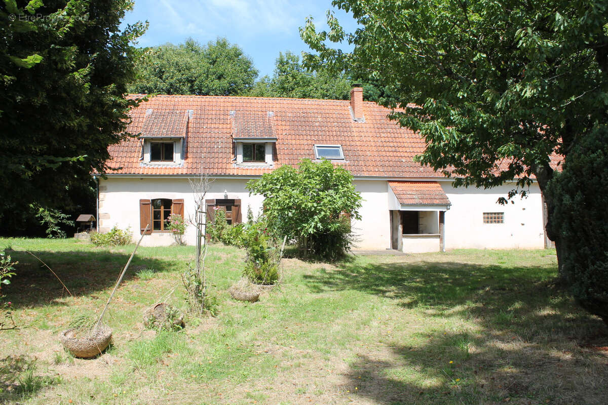 St Palais   Maison spacieuse  sur 1612 m2 dans le village. - photo 4