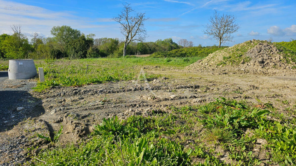 Terrain à LOIRE-LES-MARAIS
