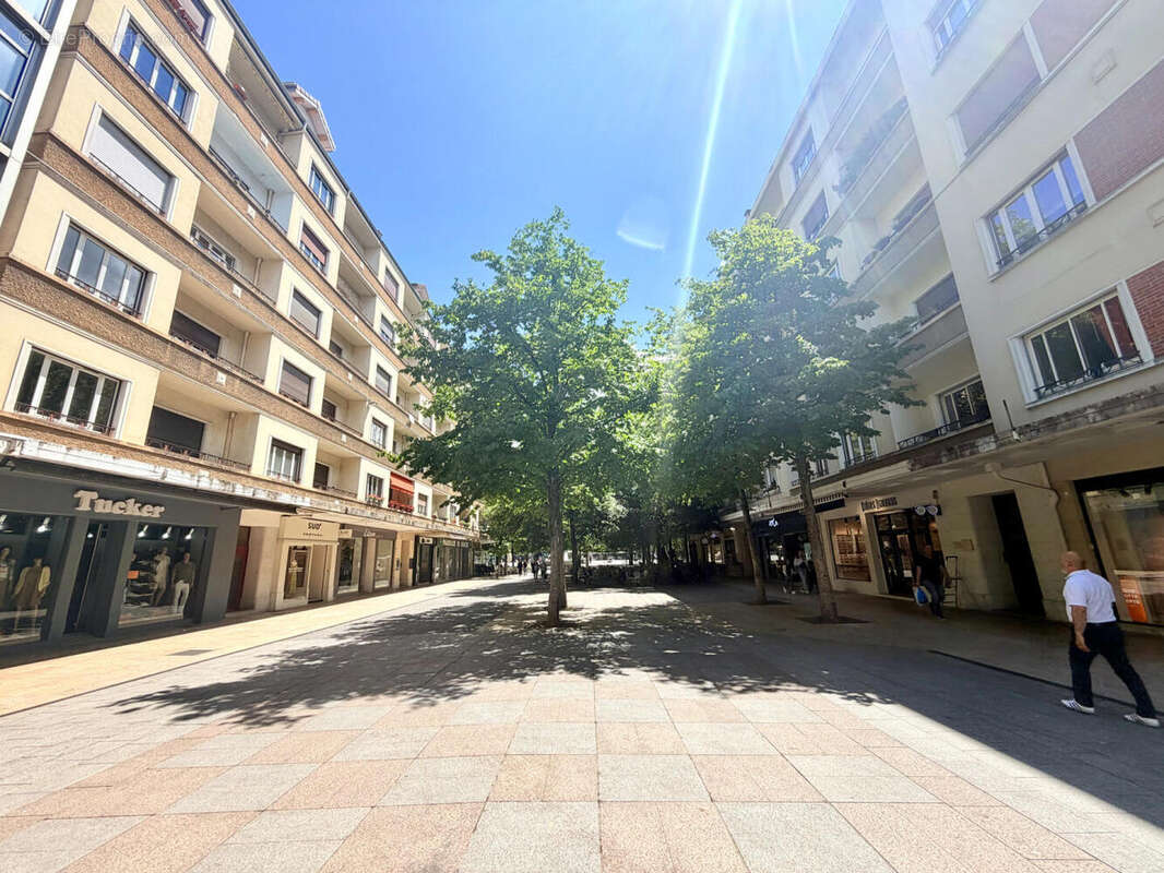 EXCLUSIVITE Annemasse centre, Arcade commerciale LIBRE de 40,77 m² située "Rue de la République"... - photo 13