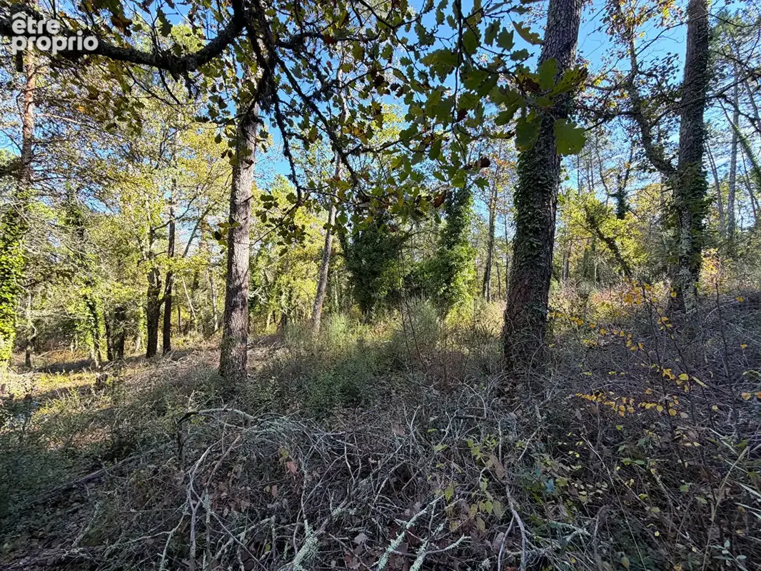 Terrain avec Mazet ,Callian - photo 4