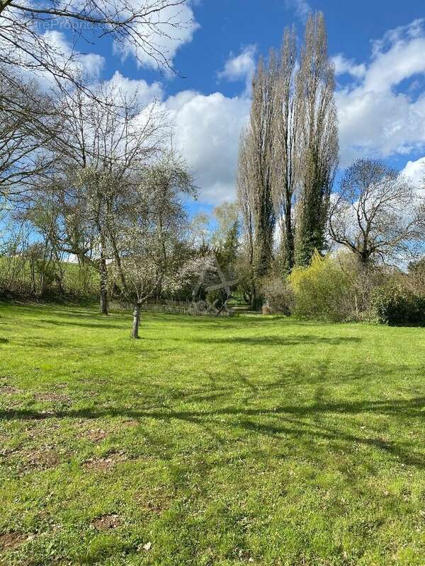Le Moulin de la Roche propriété de Charme sur 1,5 hectares au coeur de la Haute-Marne - photo 16