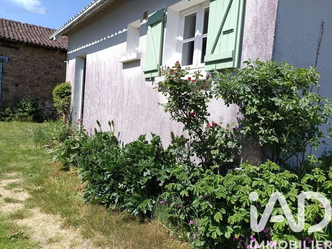 Photo 4 - Maison à CUSSAC