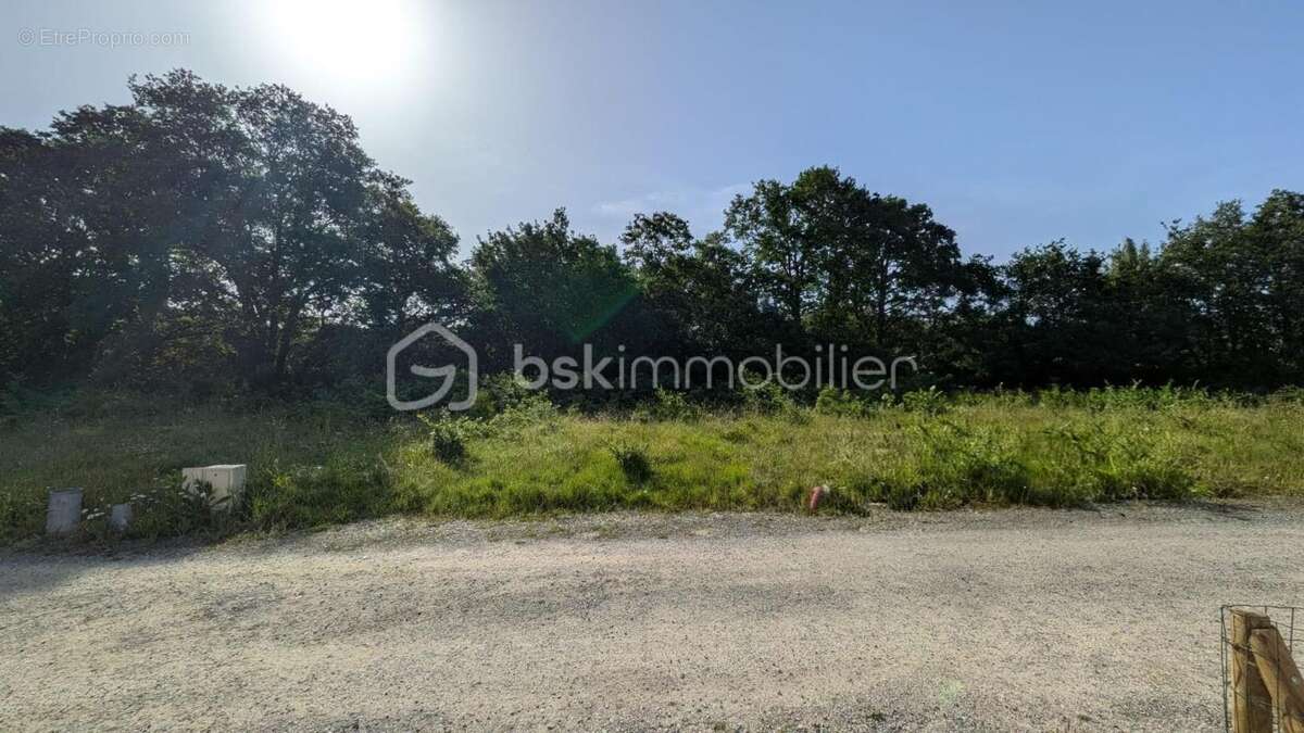 Terrain viabilisé de 420 m² à Pornichet – Environnement calme et privilégié - photo 3