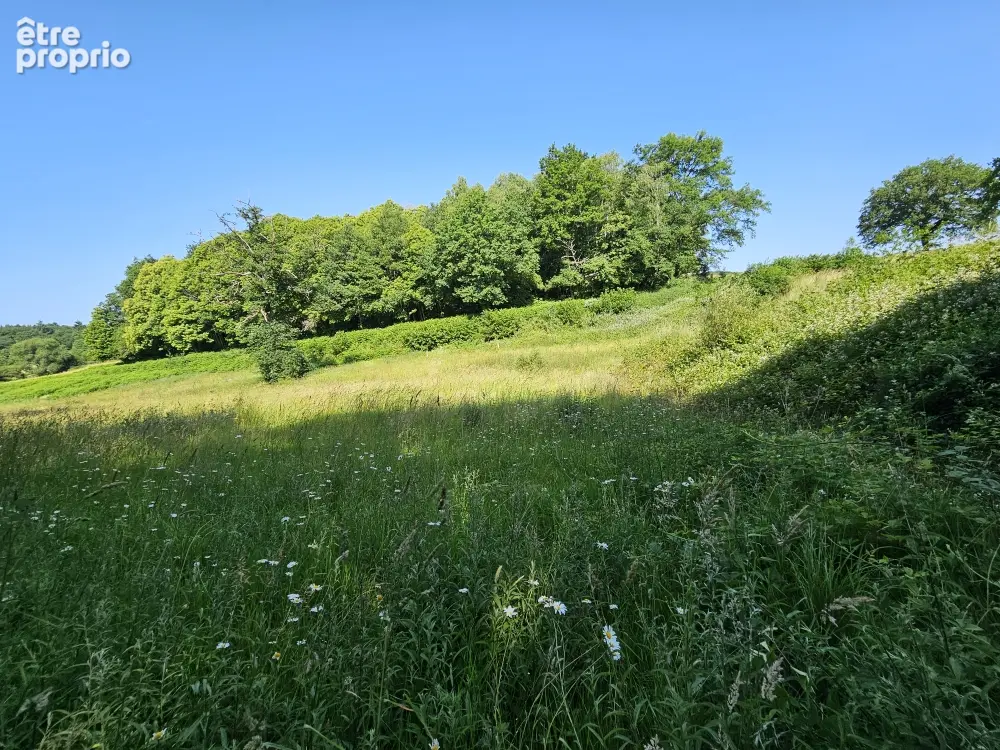 Terrain 26 701 m² à vendre à Saint-Priest-La-Feuille (23300) - photo 502