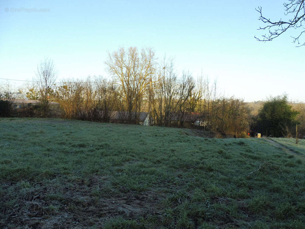 Terrain à AZAY-LE-BRULE