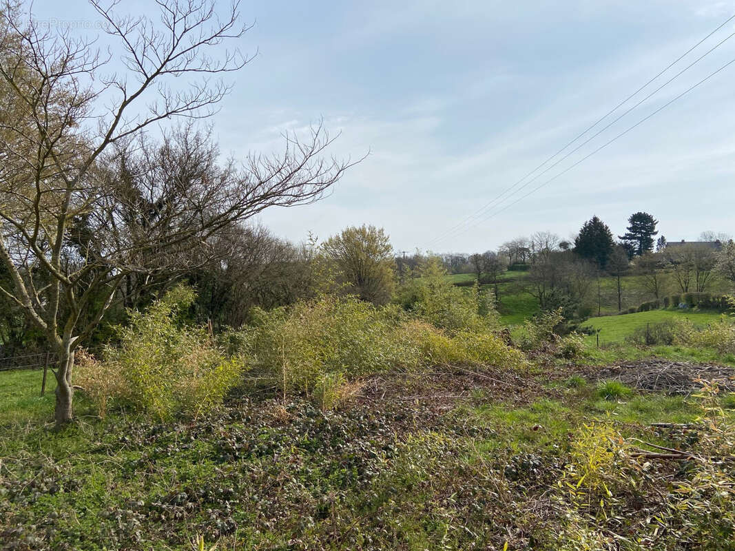 Terrain à RECQUIGNIES