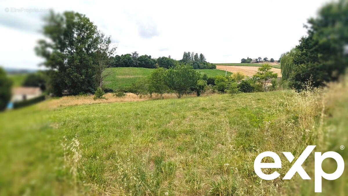 Un paysage champêtre avec des champs et des arbres sous un ciel nuageux. - Terrain à LA SAUVETAT-DE-SAVERES