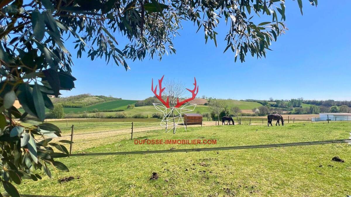 Photo 1 - Maison à MONTAUBAN