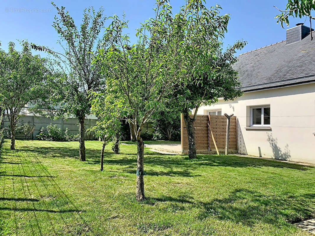 Maison à TINTENIAC