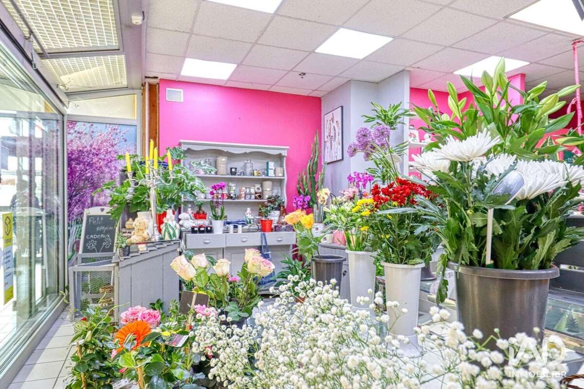 Photo 4 - Commerce à MONTMAGNY