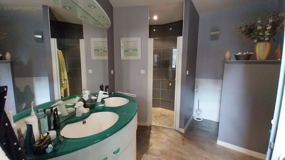Belle maison de plain-pied au calme et aux portes de Périgueux - photo 12
