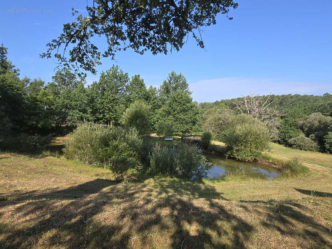 Ensemble de 3 habitations sur un parc de 2ha76 avec étang! - photo 46