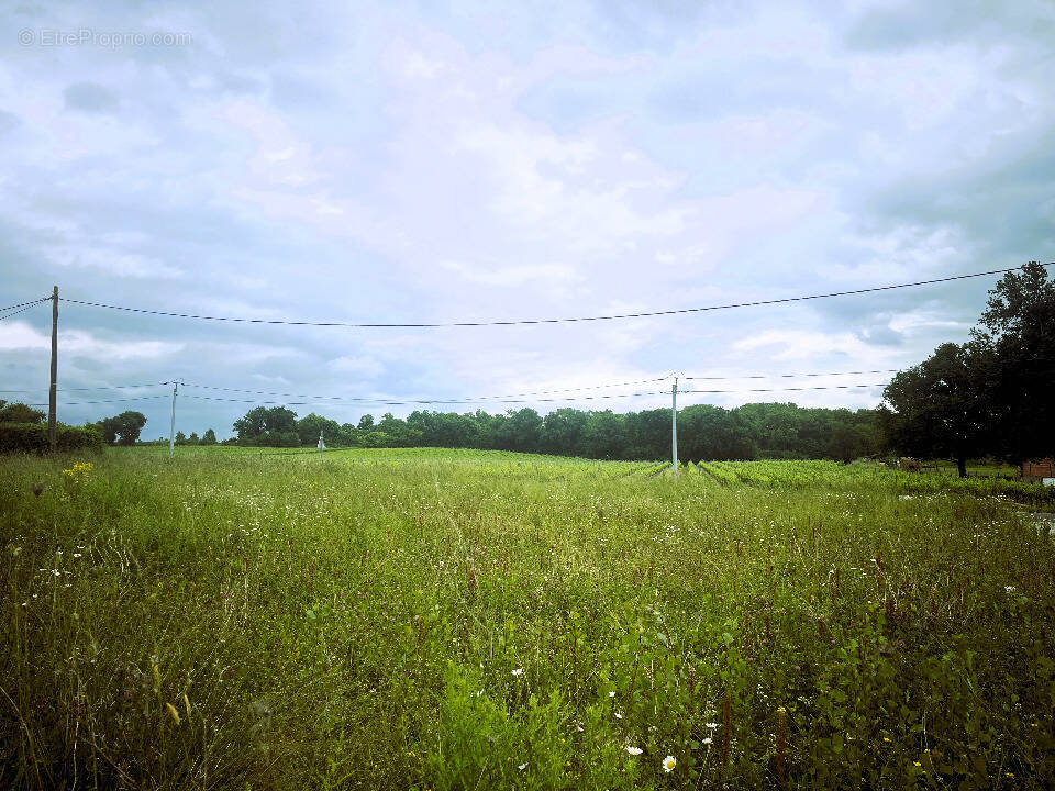 Terrain à SAINT-ANDRE-DE-CUBZAC