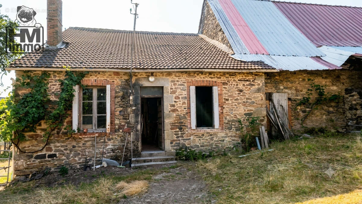 n°4