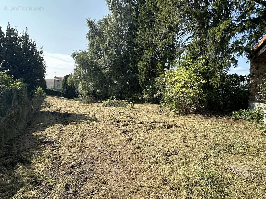 Terrain à SAINT-JUST-MALMONT